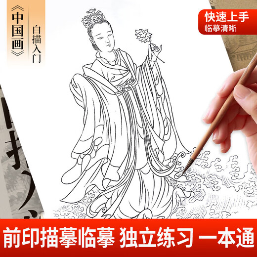 Introduction to Chinese Painting Line Drawing Copying Chinese Painting and Traditional Chinese Style Fine Brushwork Line Drawing Line Drawing Copying Album Line Drawing Line Drawing Basic Book Beginner's Ink Painting Album Complete 4 volumes Introduction to Chinese Painting Line Drawing