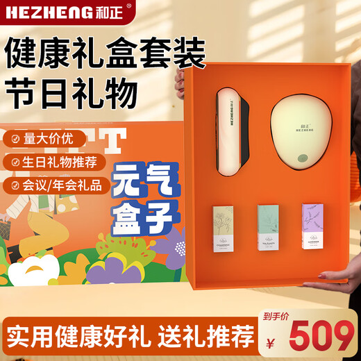 Hezheng Yuanqi Box Exquisite Gift Box Head Massager Scalp Massager Cat Claw Kneading Electric Gua Sha Board Holiday Gifts for Family and Elders Yuanqi Box HZ-BOX-3