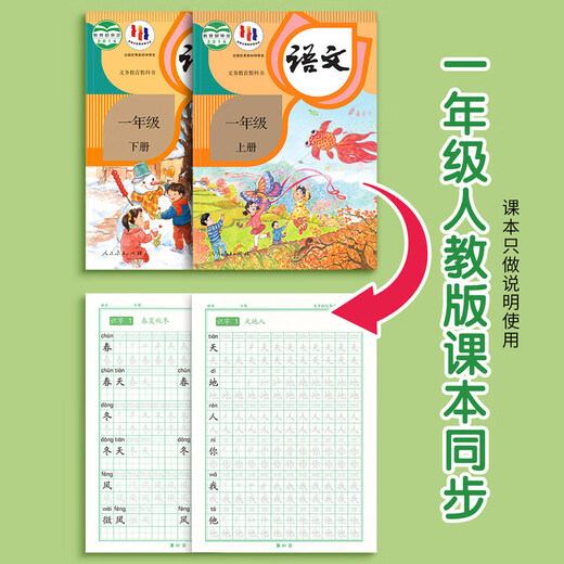 金枝叶一年级下册练字帖同步生字字帖小学生1-6年级专用人教版语文每日一练写字练字本硬笔书法练习贴