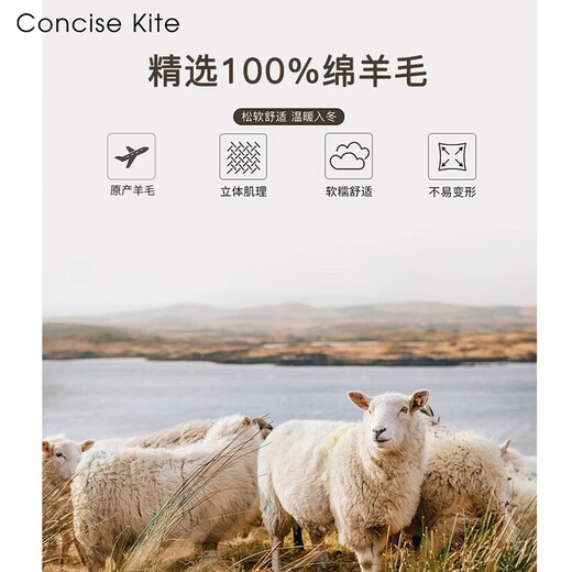 CONCISE KITE 100% wool scarf for women in autumn and winter high-end warm scarf for girls New Year's Valentine's Day birthday gift for girlfriend Off-white - high-end gift box practical birthday New Year gift for girls, wife and girlfriend