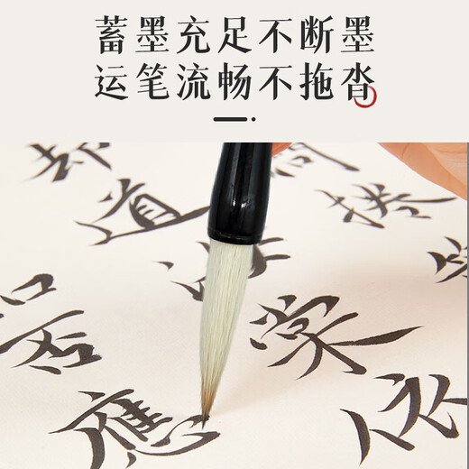 Chinese painting tools and calligraphy special for beginners small regular script langhao calligraphy practice pen set and scientific Dabaiyun official script regular script soft pen lake pen four treasures of the study langhao 1 piece - large size