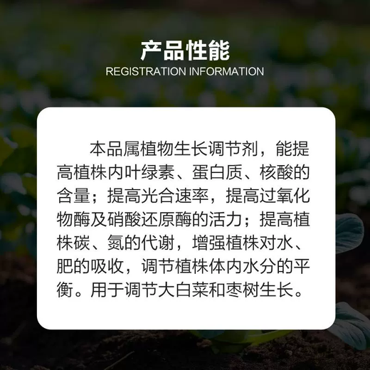 Guoguang Tiandu 8% Aminobutanol, Aminobutanol, Chinese Cabbage Growth Regulator, Aminobutanol Plant Growth Regulator 100g (10g*10 bags)