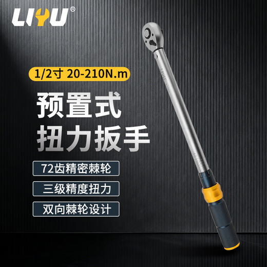 Liyu torque wrench high-precision preset torque wrench auto repair wrench 72 teeth 1/2 Dafei 20-210 (N.m)