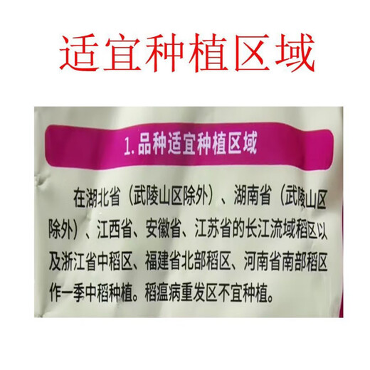 稳产Y两优800杂交水稻种子抗病抗倒适合长江中下游地区种植 高产Y两优800杂交水稻种子抗病抗倒适合长江中下游