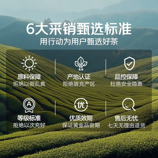 Tong Ren Tang (TRT) authentic Xinhui 10 old tangerine peels 105g Guangdong Xinhui Dahongpi 10 dried tangerine peels elder gift health tea