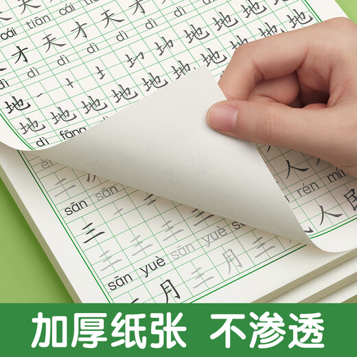 金枝叶一年级下册练字帖同步生字字帖小学生1-6年级专用人教版语文每日一练写字练字本硬笔书法练习贴