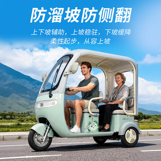 Flying Pigeon electric tricycle for the elderly, household electric tricycle for adults, small-sized, covered, all-in-one pick-up and drop-off for children Chaowei/Tianneng 600W60V24AH black gold about 120 miles