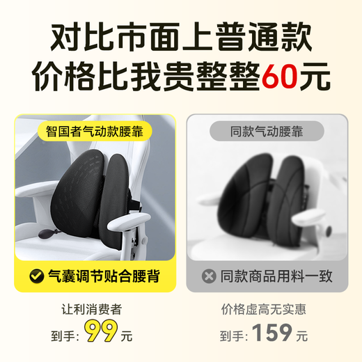 Wise Nation Ergonomic Waist Support Waist Support Sedentary Artifact Waist Back Pad Pillow Office Seat Car Support