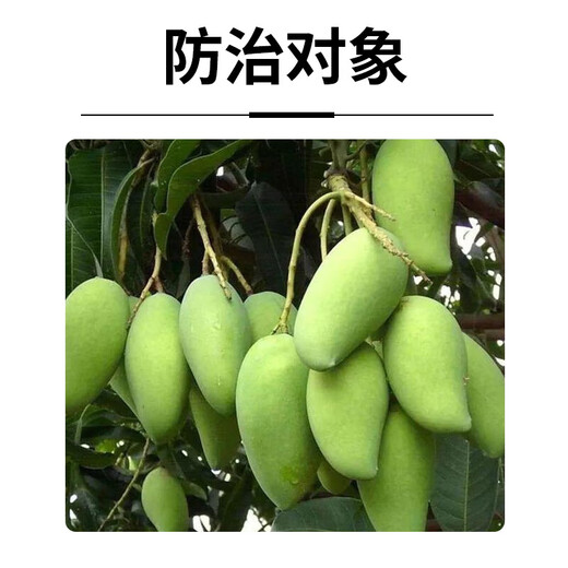 25% paclobutrazol aqueous dwarfing agent chlormequat, general authentic pesticide for fruit trees and vegetables, 500g*20 bottles