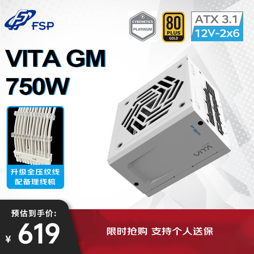 FSP VITA GM 750W Snow Edition Gold Medal Full Modular Power Supply (ATX3.1/PCle 5.1 12V-2x6 Interface/105 Japanese Capacitor/Full Embossed Cable)