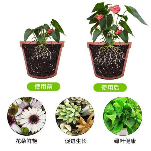 Baishi Garden King Phosphorus and Potassium Nutrient Solution promotes root growth, flowers and fruits, general liquid phosphorus and potassium fertilizer for potted fruits, vegetables and flowers 1000ml bottle + amino acid