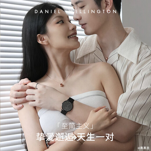 Daniel Wellington dw couple ring classic couple ring moonlight silver 52+58 birthday gift for girlfriend DW029+032