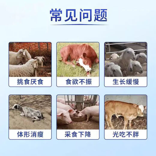 Yimutang Kaiweiwang feed additive for winter fattening, appetizer and intestinal conditioning 500g/bag Kaiweiwang 2 bags