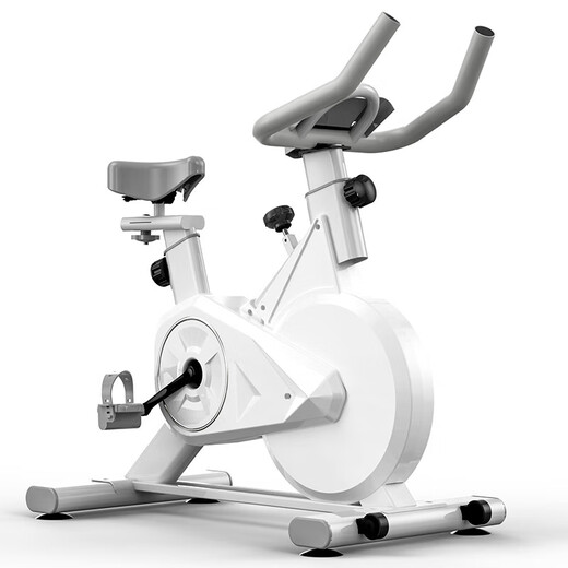 Konais Spinning Bike Home Indoor Exercise Equipment Silent Weight Loss Fat Burning Body Shaping Exercise Bike White All-Inclusive Anti-Slip Mat