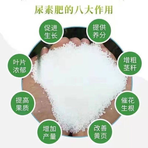 Small granular urea fertilizer, vegetable nitrogen fertilizer, flower growing vegetable fertilizer, fruit and vegetable fertilizer, plant potted agricultural general purpose, genuine small granular urea containing 46 nitrogen (instantly soluble in water) 900g bag, plants grow like crazy, great value + measuring spoon