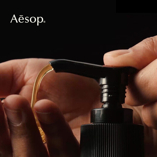 Aesop Zuncheng Fragrance Hand Cleanser 500mL Hand Sanitizer Hand Wash Cleaning Birthday Gift for Girlfriend