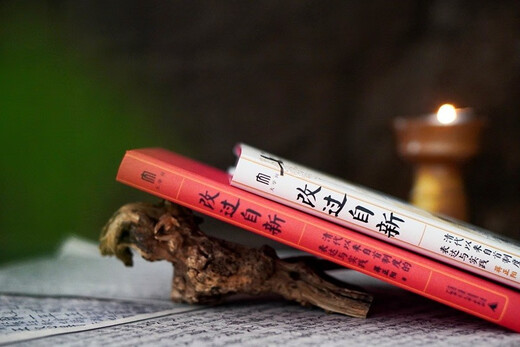 University knowledge, reform, the expression and practice of the surrender system since the Qing Dynasty (with rich cases to vividly restore the operation of the surrender system at the grassroots level since the Qing Dynasty, won the third Best Book Award for Young Scholars of Practical Social Sciences)