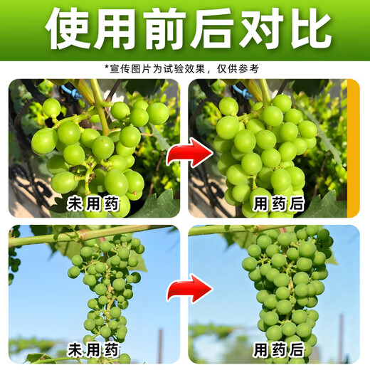 Baofeng chlorpyuron plant growth regulator grape special growth regulator regulating drug chlorpyuron genuine 100g*3 bottles small bottle economical package