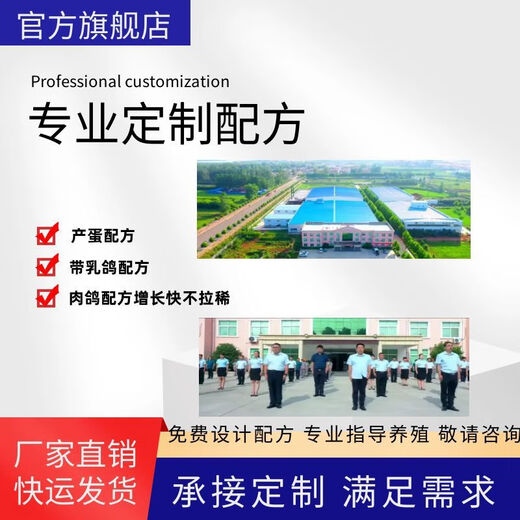 Pigeon premix 5-egg pigeon meat pigeon ornamental pigeon premix processing pellet feed express door-to-door delivery to urban and county towns