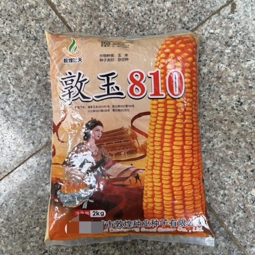 Dunyu 810 Yunnan Province's high-quality grain depth - high-altitude resistance, first-class quality and good live stems mature 2kg packaging Dunyu 810 Yunnan Province's high-quality grain depth - high-altitude resistance and good quality live stems