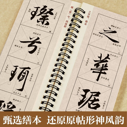 Huaxia Wanjuan brush inscriptions close-up copying calligraphy card entry enlarged version Zhao Mengfu's running script Luo Shen Fu Adult beginners' hobbies Zhao Mengfu's running script soft pen copying calligraphy