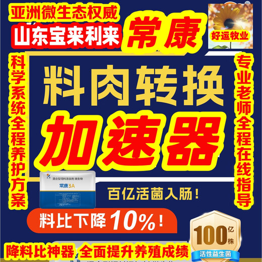 Laili Changkang/Shandong Baolai Lai Lai Probiotics 100 million beneficial bacteria/reducing material is better than the artifact Asian microecological brand feces, reducing ammonia odor and reducing respiratory tract 35 bags