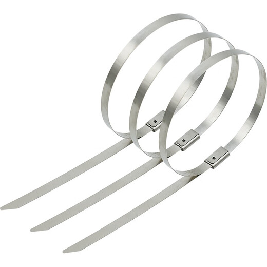 JPHZNB SELBST SELDERUNG 304 Edelstahlkabel Kabelkabel Outdoor-Korrosionswiderstand Hoch- und Tieftemperaturwiderstand Metallschnalle 7,9*300 mm 20 Pack OT3291