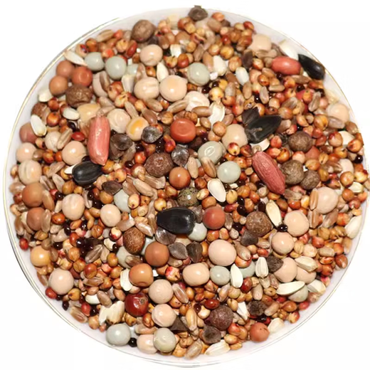 Other horticultural high-quality nutritious pigeon food, meat pigeons, ornamental pigeons, homing pigeons, racing pigeons, Yuanbao pigeons, young pigeon feed, breeding pigeons, pigeon food with corn 50 Jin Jin equals 0.5 kg