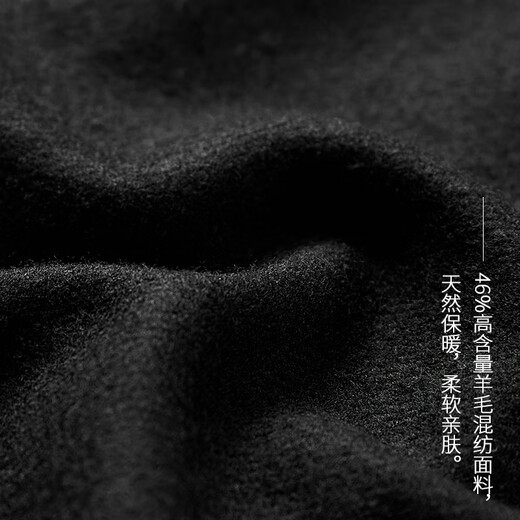 Rishuo Xunyou Wool Wide Leg Shorts 2025 New Autumn and Winter High Waist Loose Casual Versatile Slim Medium Pants Women's Housewood Black S