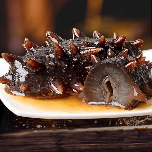 工厂直销正宗野生海参刺参不包冰新鲜深海海参高品质海参批发 新鲜海参15只，净重250g无冰衣增重