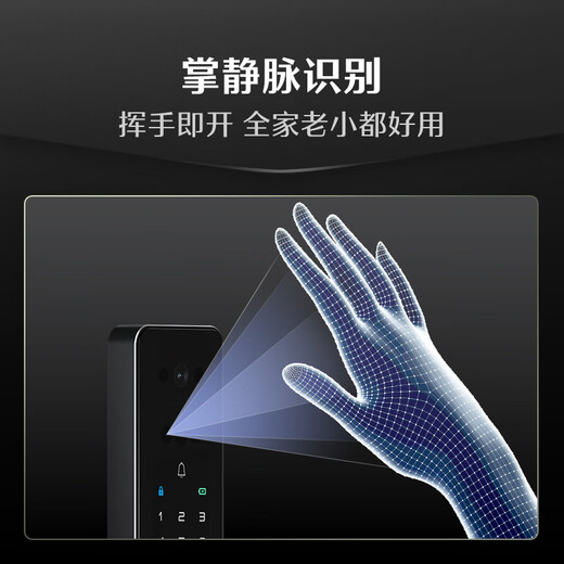 德施曼（DESMAN）智能门锁3D人脸识别掌静脉可视猫眼大屏指纹密码电子锁 小嘀 Q2FV