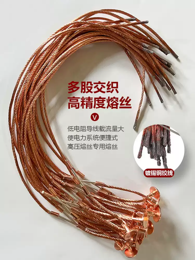 10kv high voltage buckle fuse 3A-200A fuse fuse transformer Lingke fuse 50A3 pack