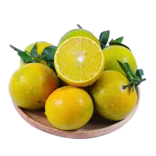 Jingmi Authentic Deqing Emperor Mandarin Fresh Fruit Tribute Mandarin Net 8.8Jin Jin equals 0.5kg Guangdong Single Fruit 60mm+ Straight from the Source