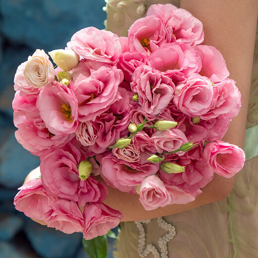 Lisianthus flowers Yunnan straight hair home water-raised bouquet classic matching flower arrangement Chinese Valentine's Day gift fresh cut flowers random color Lisianthus 20-25 buds