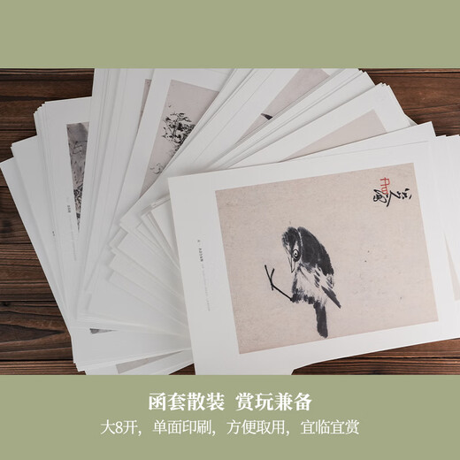 Bada Shanren Album Selected Famous Paintings from Past Dynasties, Authentic Appreciation of Paintings by Public Lovers Bada Shanren Album Selected from Zhu Da’s Ink Paintings and Shi Tao’s Album Selected from Qing Dynasty Four Monks’ Album Carefully selected to take both representativeness and freshness into account Four-color precision printing is both convenient for copying and appreciation Zhejiang People’s Fine Arts Publishing House Default Specifications