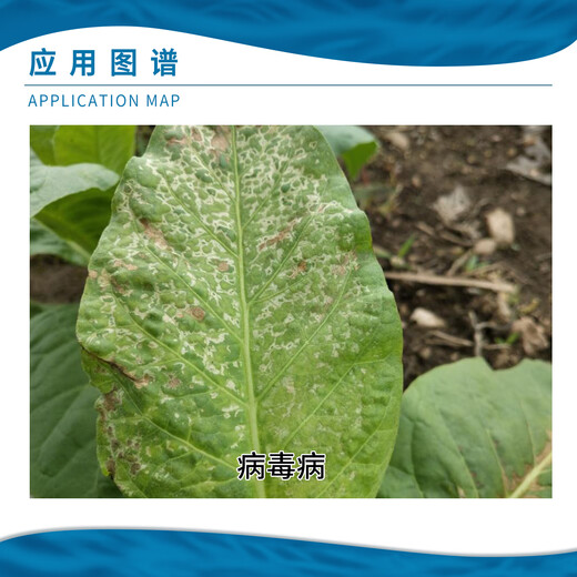 Xinxing 50% chlorobromoisocyanuric acid tobacco virus disease pesticide fungicide powder 20g