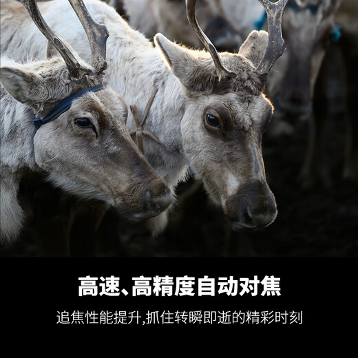 Tamron A065Z 70-180mm F/2.8 Di III VC VXD G2 second generation anti-shake large aperture telephoto zoom full-frame mirrorless lens (Nikon Z mount)