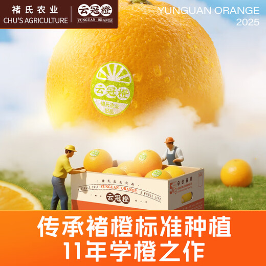 云冠橙净重10斤装2025褚橙官方云南冰糖橙当季新鲜水果礼盒橙子产地直发 优级果云冠橙 5kg