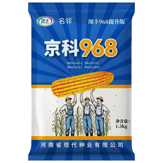 Rose Jingke 968 corn seeds, high yield, double sticks, low stems, lodging resistance, disease resistance, drought resistance and waterlogging resistance, genuine national approved white shaft, new species promotion, genuine 6Jin Jin equal to 0.5kg, can be planted on 2.2 acres of land + nutritional coating