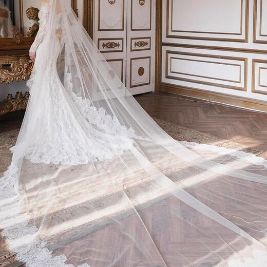 Meianjia French one-shoulder long-sleeved lace fishtail light wedding dress new bride petite high-end travel photo door veil small tail 2XL