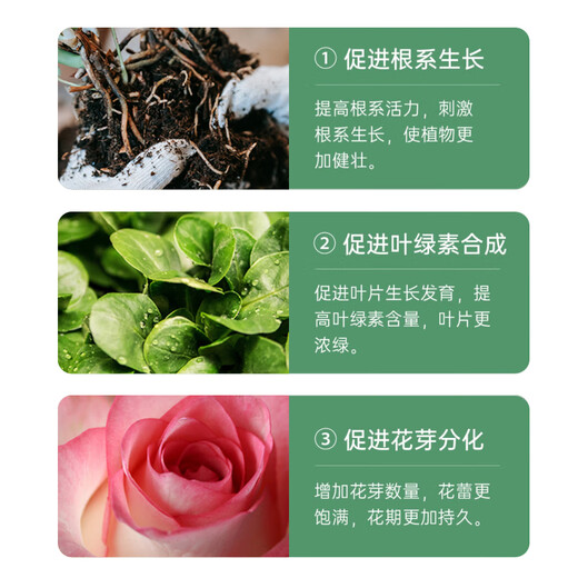 Beike Shi Pai Yi Fa San nutrient solution plant universal flower fertilizer household potted plants hydroponic rich bamboo universal nutrient solution 3 bottles