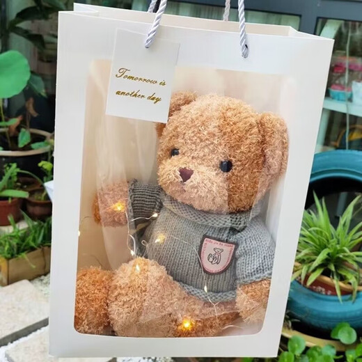 Aishang Bear Little Bear Doll Rag Doll Plush Toy Sleeping Pillow Doll Children Boy Birthday Gift Girl Girlfriend