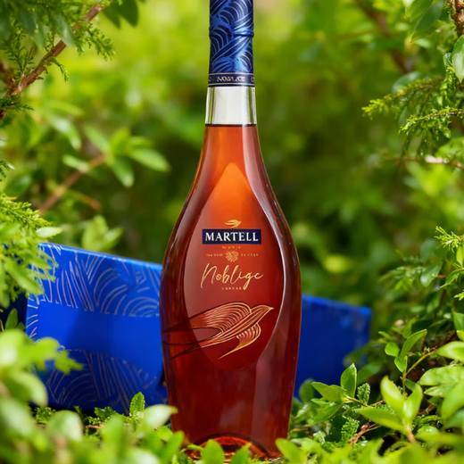 马爹利名仕VSOP  马爹利赤木 洋酒 法国原装进口 白兰地 干邑 礼盒装 马爹利名仕VSOP 1000mL 1瓶