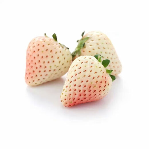 Creamy white strawberry seeds, four-season white strawberry seeds, vegetable seeds, red-faced family potted plants, balcony planting, creamy white strawberry seeds/pack, about 100 capsules, 3 packs