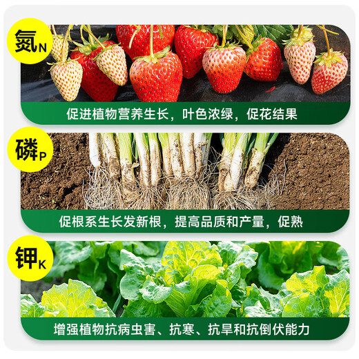 Instant high-efficiency compound fertilizer nitrogen, phosphorus and potassium general flower, fruit and vegetable compound fertilizer nitrogen, phosphorus and potassium fertilizer 10-100 Jin Jin equals 0.5 kg High-efficiency instant multi-element compound fertilizer 50 Jin Jin equals 0.5 kg