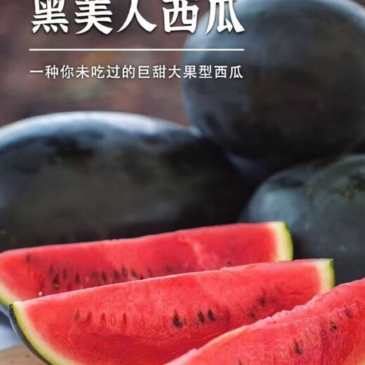 Fruit set, strawberry, cherry tomatoes, croissant, honey, watermelon, balcony potted farmhouse garden melon seeds, various varieties, Black Beauty watermelon seeds, 2 packs, about 100 seeds