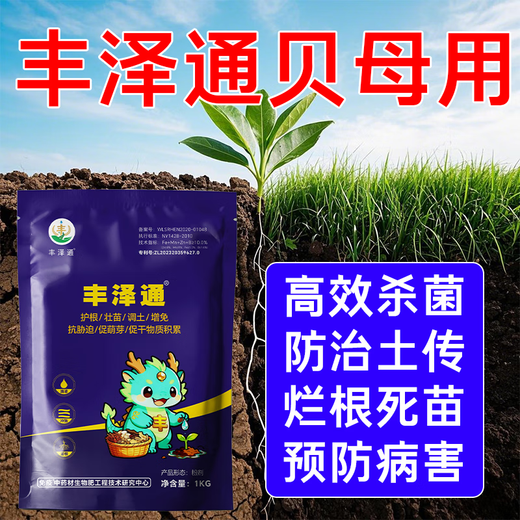 丰泽通蓝袋贝母种植专用肥土壤病菌消杀烂种根腐鳞茎膨大提质增产 丰泽通蓝袋3袋