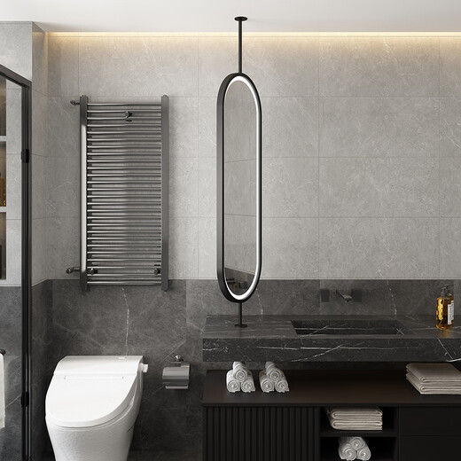 Fat Donglai's same style make-up mirror, boom, luminous, suspended sink, ceiling, rotating mirror, hotel oval bathroom, double-sided, single-sided mirror, black, non-luminous, customized up and down, 40x80 cm