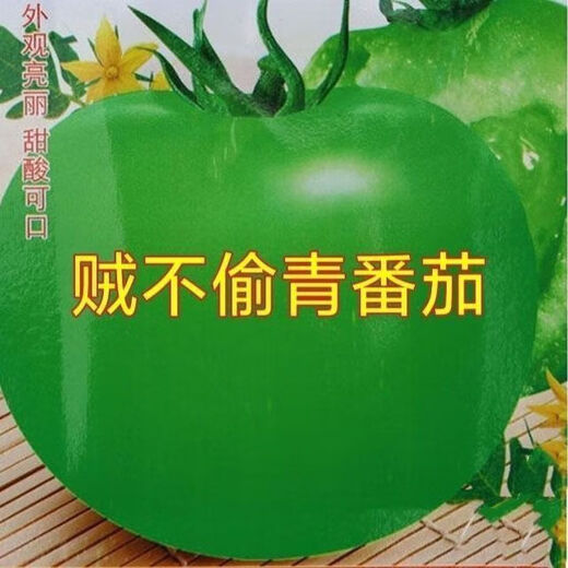 Thieves do not steal green tomato seeds, green tomato seeds, green tomato seeds, high-yield fresh vegetable and fruit seeds in the field, apple green tomato seeds, 2 packs of about 400 capsules