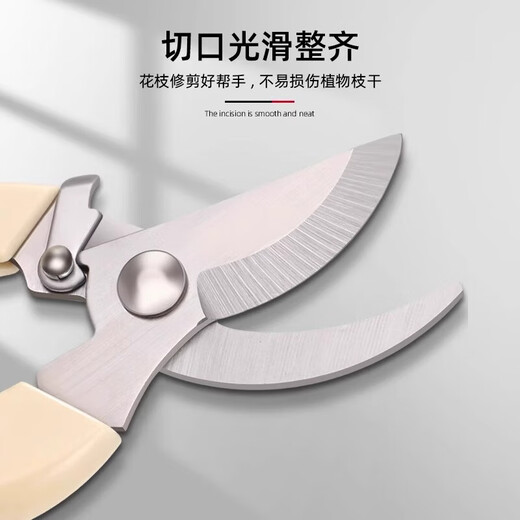 Stainless steel branch pruning shears for picking fruits, flowers and trees, garden fruit trees, flower branches, grafting, gardening scissors tools, pruning shears, branches/flower branches/fruit branches/potted plants